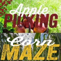Image for the CAB Apple Picking/Corn Maze 
