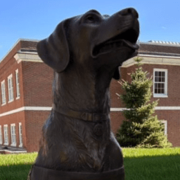 Fins and Feathers Statue