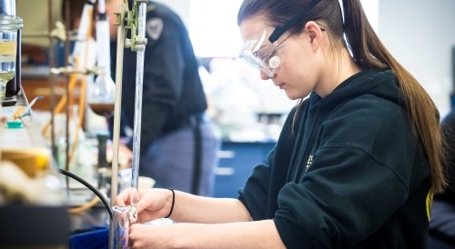 Norwich student working on a science project.