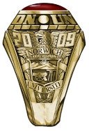 Norwich University civilian undergrad ring - class year side