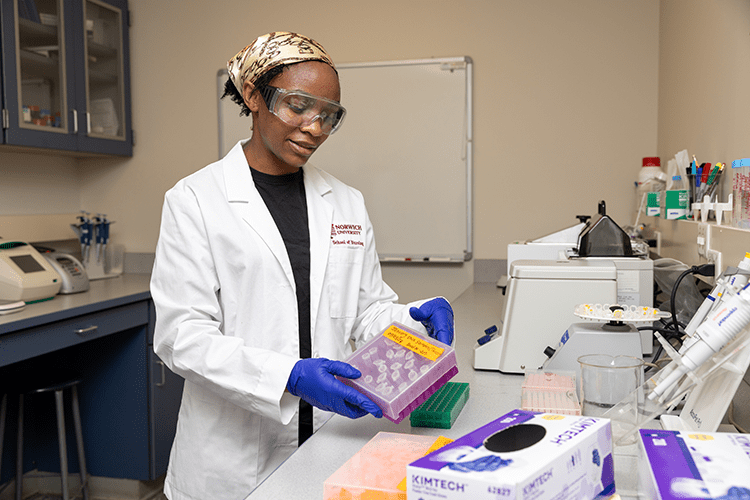 Science student working in the lab.